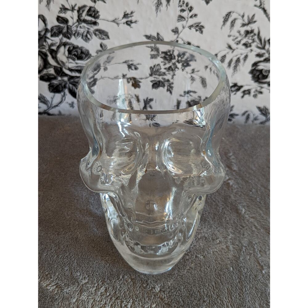 Heavy Glass Human Skeleton Skull Candy Dish Bowl Flower Vase Clear